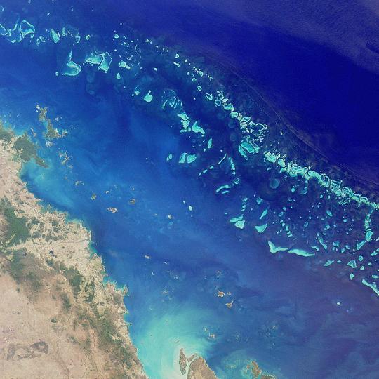 Grande barriera corallina - nemo