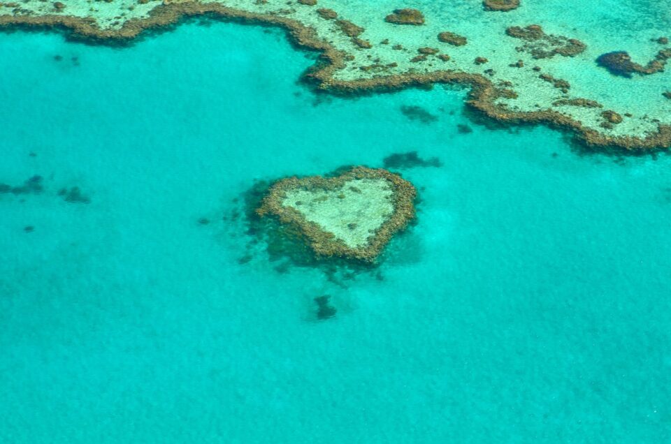 Heart reef - grande barriera corallina nemo
