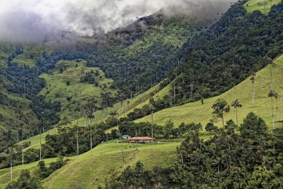 Colombia di Encanto Valle del Cocora