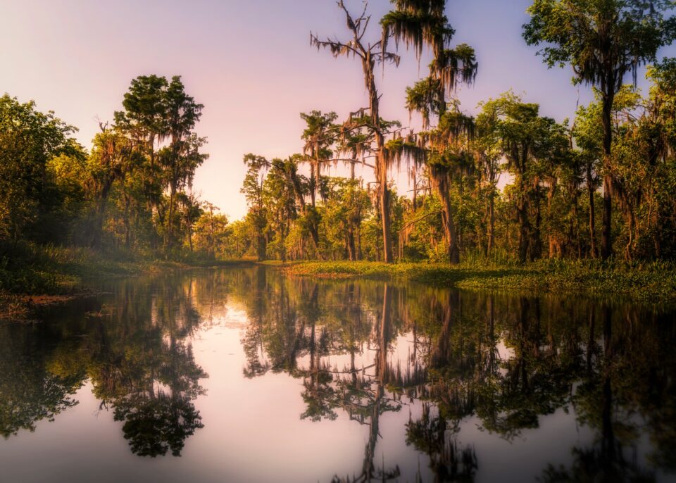 disney bayou Louisiana - new orleans